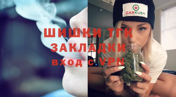 твердый Алексеевка