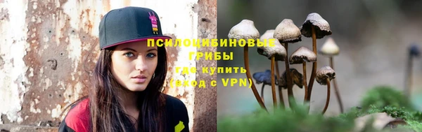 твердый Алексеевка