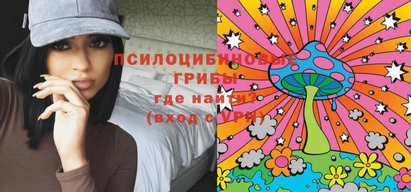 твердый Алексеевка