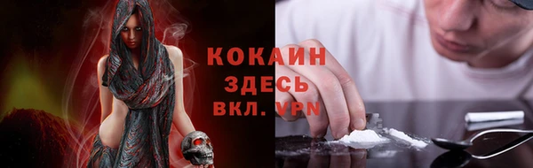 твердый Алексеевка