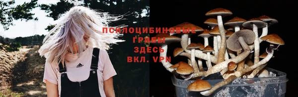 твердый Алексеевка