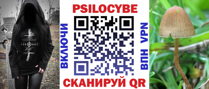 Галлюциногенные грибы ЛСД купить цена Буй